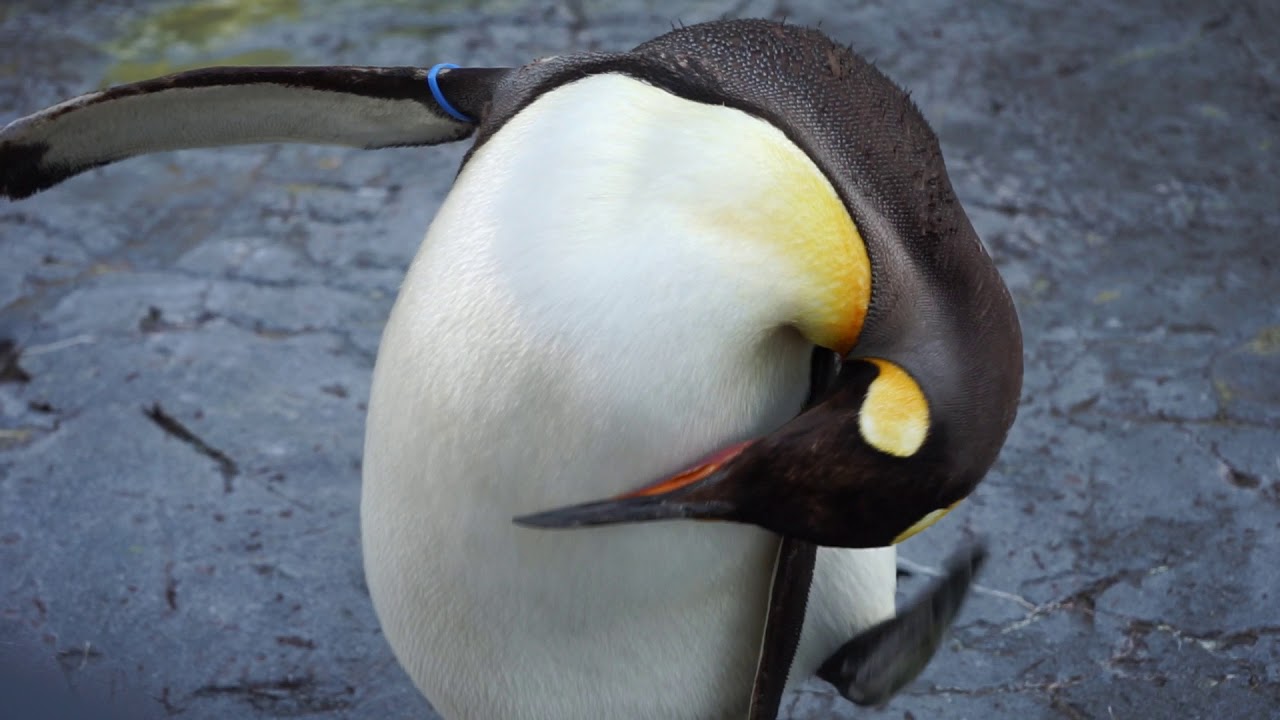 北海道旅行18 帯広から旭川へドライブ サイガブログ