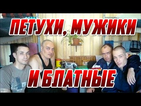 Опущенные, мужики и Блатные