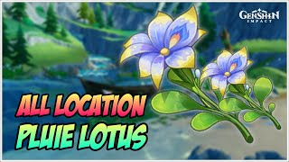 Player Profile All Pluie Lotus Location in Fontaine