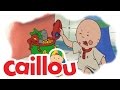 Caillou - Caillou Joins the Circus  (S01E08) | Cartoon for Kids