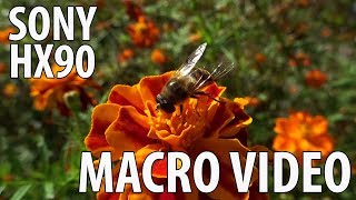 Sony Hx90 Macro Video Example With Ois Handheld