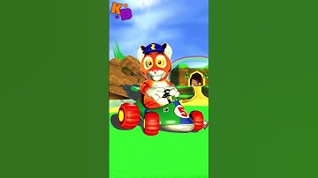 The REAL Star of Diddy Kong Racing 🐯