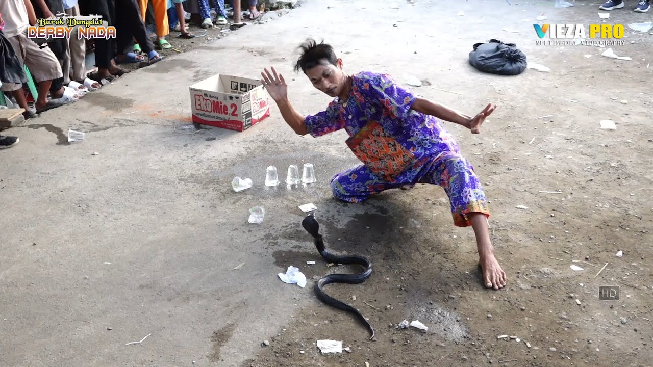 ATRAKSI ULAARR COBBRAA WA KLEMOD ~ BUROK DANGDUT DERBY NADA SHOW SENGON TANJUNG 30/05/2024