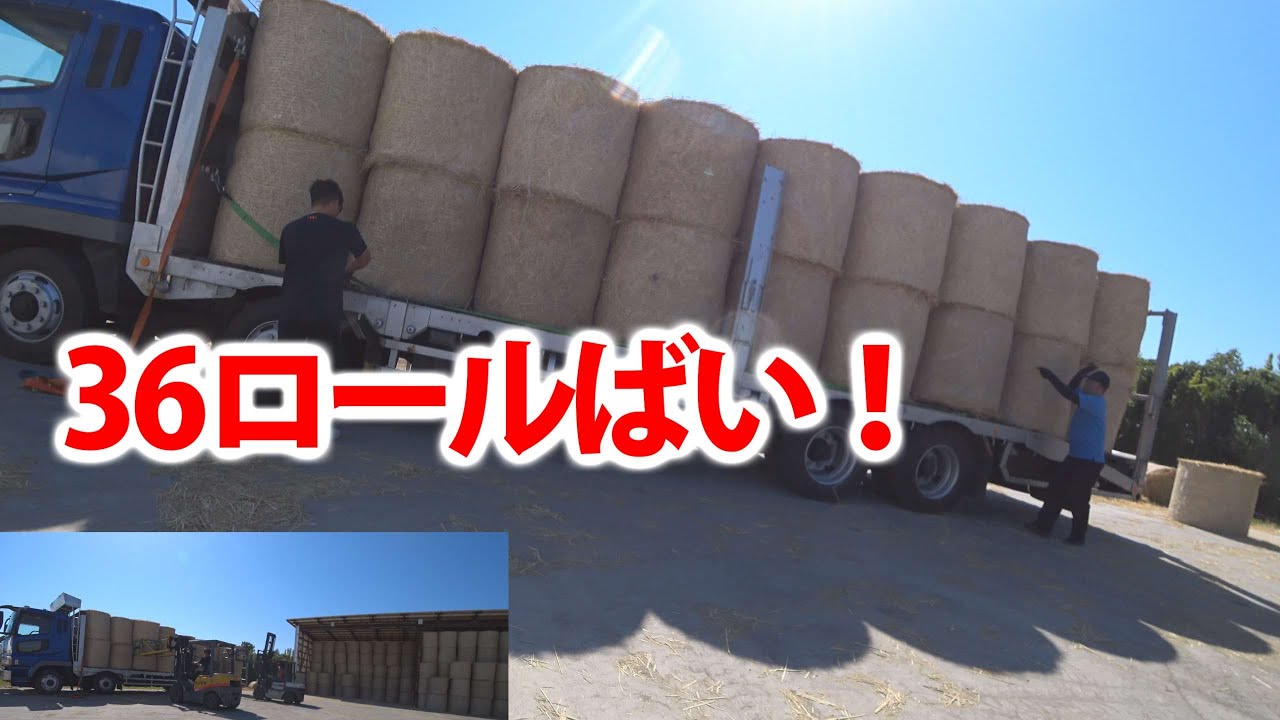 【会社員実家農業手伝う】2021大型トラックにワラロールをリフトで積み込み、大型トラックの秘密とは
