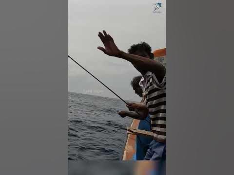 catching-wahoo-fish-in-the-sea-fish-fishing-fishingvideo