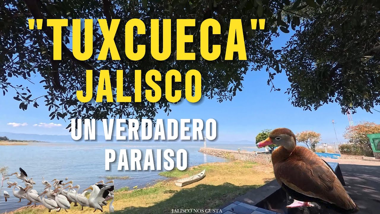 EN TUXCUECA SU ATRACTIVO TURISTICO NATURAL ,CON PAISAJES DE CERROS DE GARCIA Y EL PICACHO