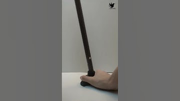 Assembly and use of WS98