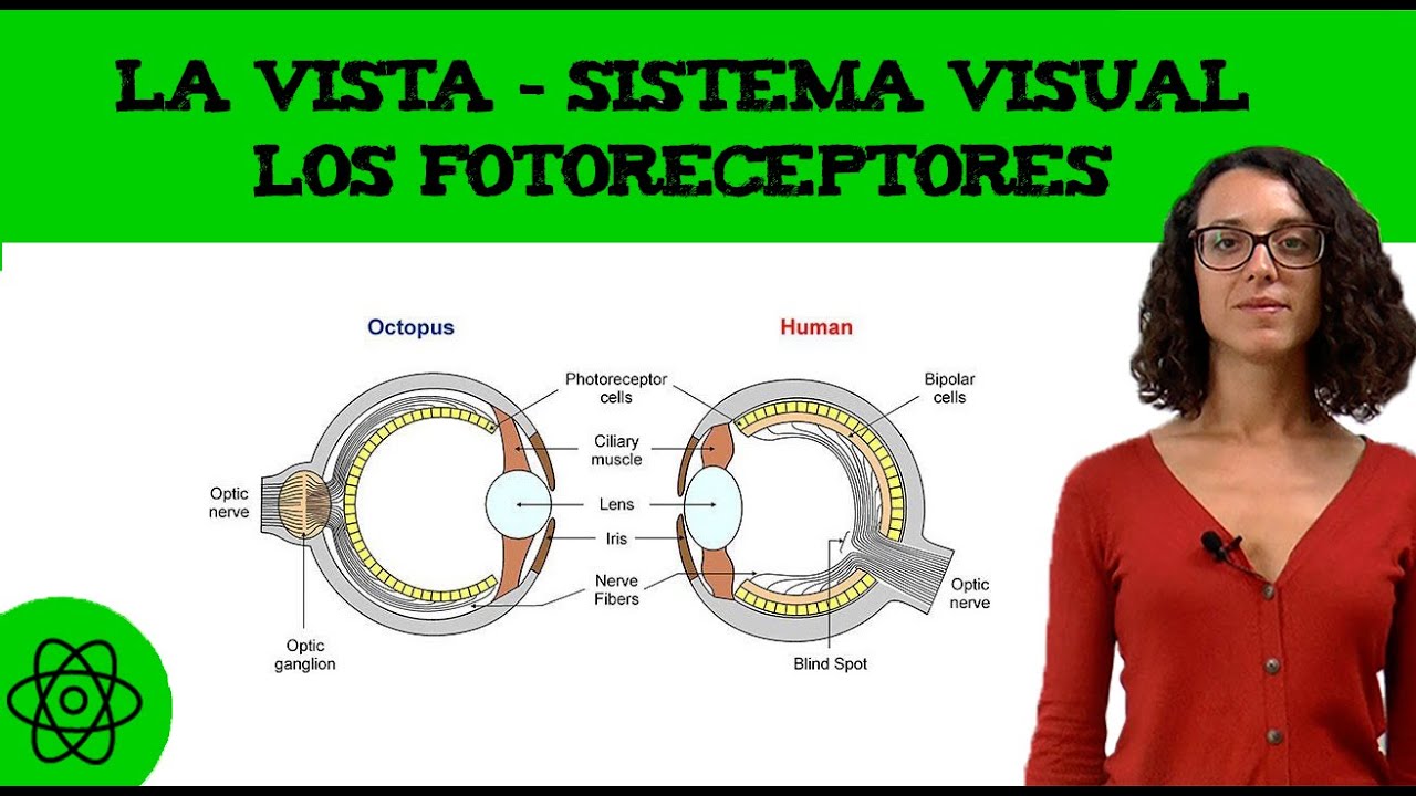 Desenfocar la vista a voluntad propia