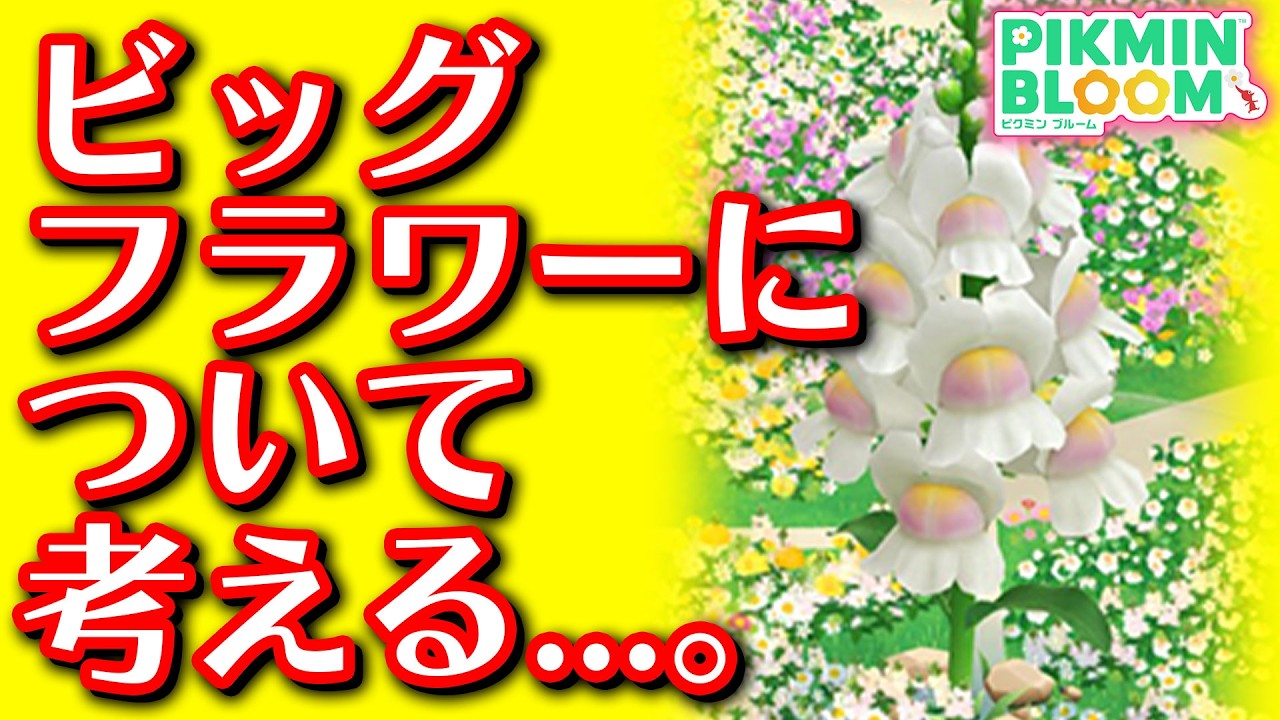 【ピクミンブルーム】ビッグフラワーについて考える...。【Pikmin Bloom】
