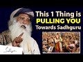 This 1 thing is pulling you towards sadhguru  sadhguru