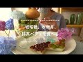 【咀嚼音】琥珀糖、水無月、抹茶パフェを食べる【Eating Sounds】