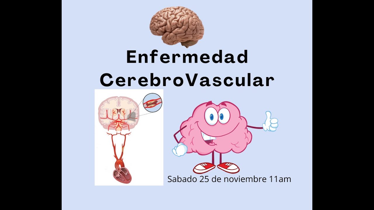 Enfermedad Cerebrovascular - YouTube