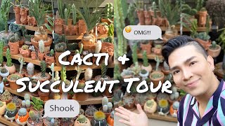 Cacti & Succulent Tour 2020 | Cute Planters | Rare Cacti Collection