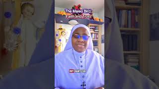 The Maleo Bird A Lesson On Faith And Trust.