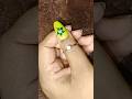 green flower nail art for girls/266