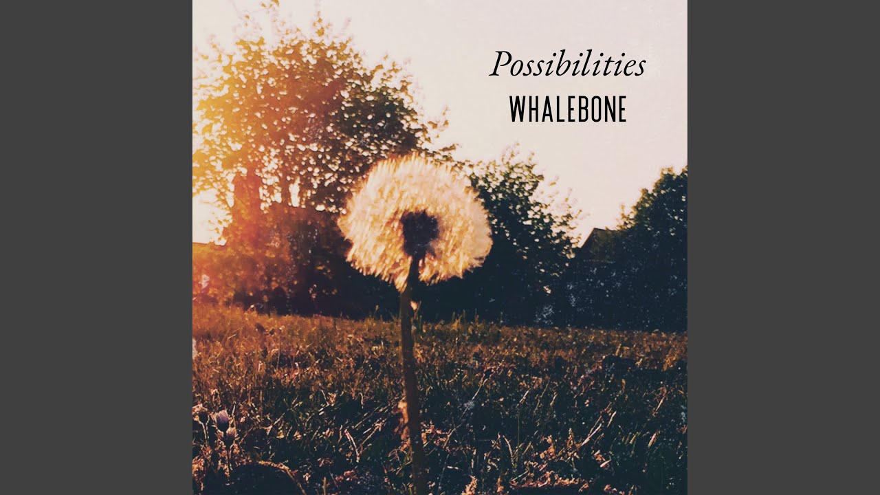 Watch Possibilities on YouTube Watch Possibilities on YouTube
