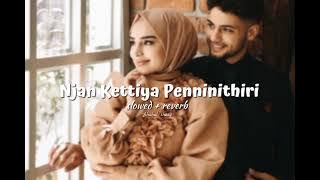 Njan Kettiya Penninithiri (𝗦𝗹𝗼𝘄𝗲𝗱   𝗿𝗲𝘃𝗲𝗿𝗯 )