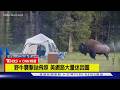 【CNN精選】這張照網路瘋傳! 男子遭野牛攻擊拋飛半空｜TVBS新聞 @TVBSNEWS01