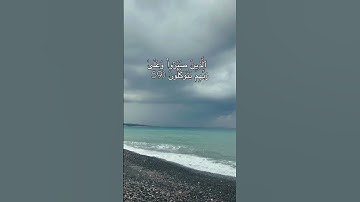 القارئ حمزة سعيد #سورة العنكبوت