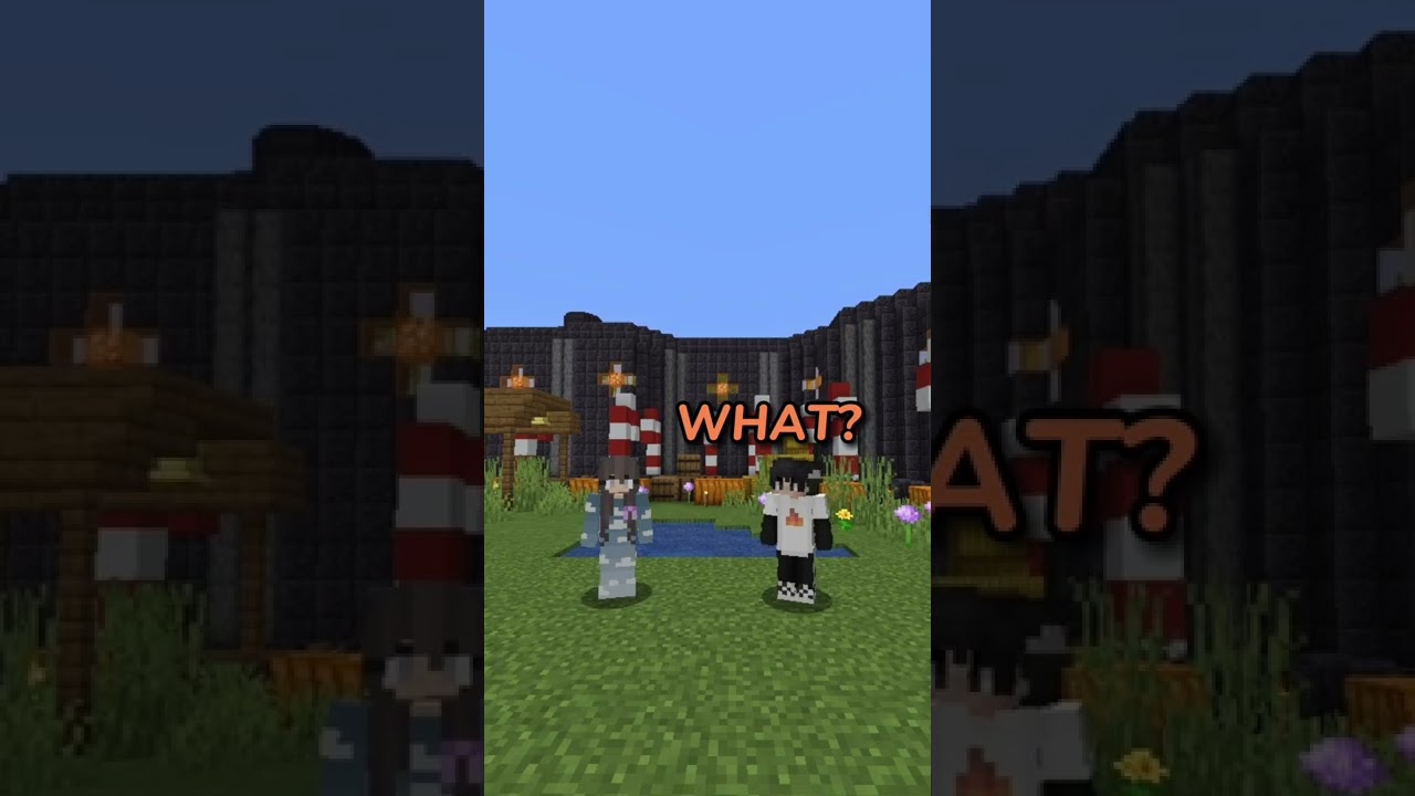 Telling The Dream SMP TERRIBLE Pick Up Lines (ft. Ranboo, Sapnap, TommyInnit)