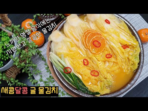 새콤달콤 겨울 간식 감귤 |  감귤백김치 담그는 법, 명절에 느끼한 음식에 걸맞은 물김치  | How to make a delicious kimchi with water.