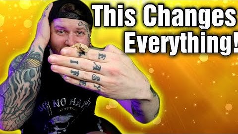 How This Gecko Changed My Reptile Business