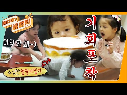 [에디터&amp;#39;s 꿀잼Pick] ❤녕아미 낭낭❤ 거누의 솜털 궁디밀기~(ft.케이크사수전) I #슈퍼맨이돌아왔다