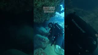 Come Scuba Diving In A Marine Protected Area