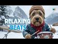 Chill Guitar Vibes 03 🎸 Uplifting Instrumental Music for Focus & Positivity