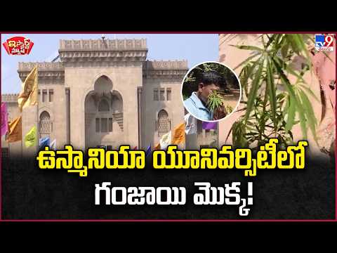 iSmart News | Ganja Plant Found in Osmania University - TV9