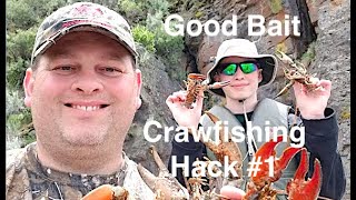 Crawfishing Hack #1 -Good Crayfish and Mudbug Bait