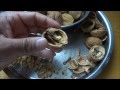 How to open a walnut without a nut cracker (two different methods demonstrated by "A Walnut Master")