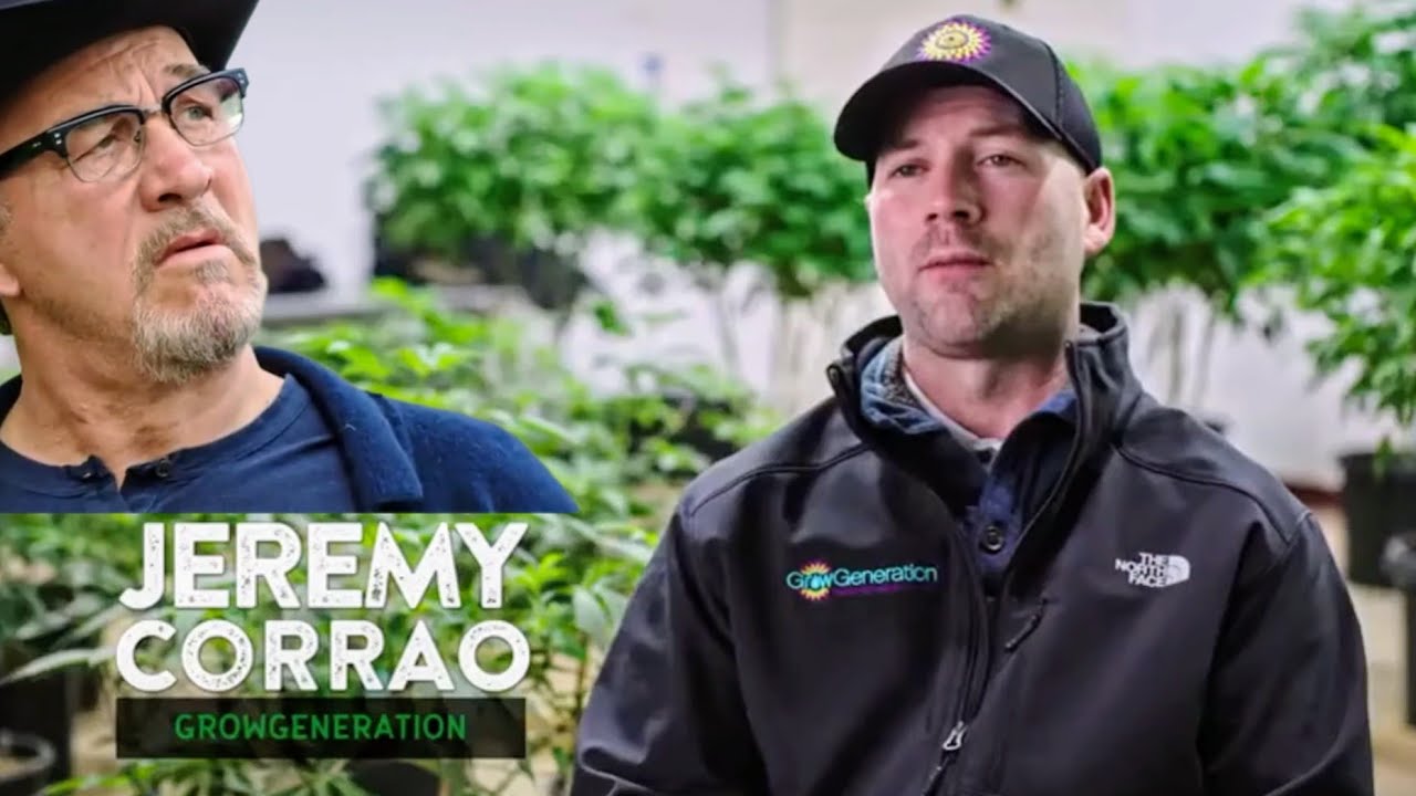 MOLD ATTACK! Jim Belushi's Cannabis Farm in Crisis | Growing Belushi | HD