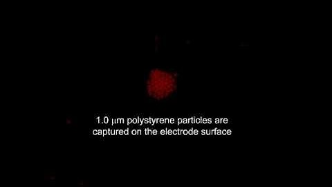 REP: Aggregation and translation