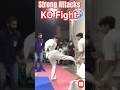 @Artofkarate KO Strong Attacks #Karate #shortvideo #reels #fight #artofkarate #kyokushin #arts