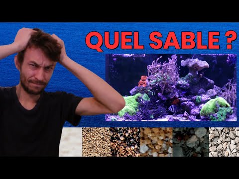 EP.5 Choosing Reef Aquarium Sand - Substrate for Saltwater 