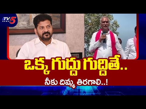 BRS Ex Minister Harish Rao Election Campaign At Dubbak | Comments On CM Revanth | TV5 News - TV5NEWS