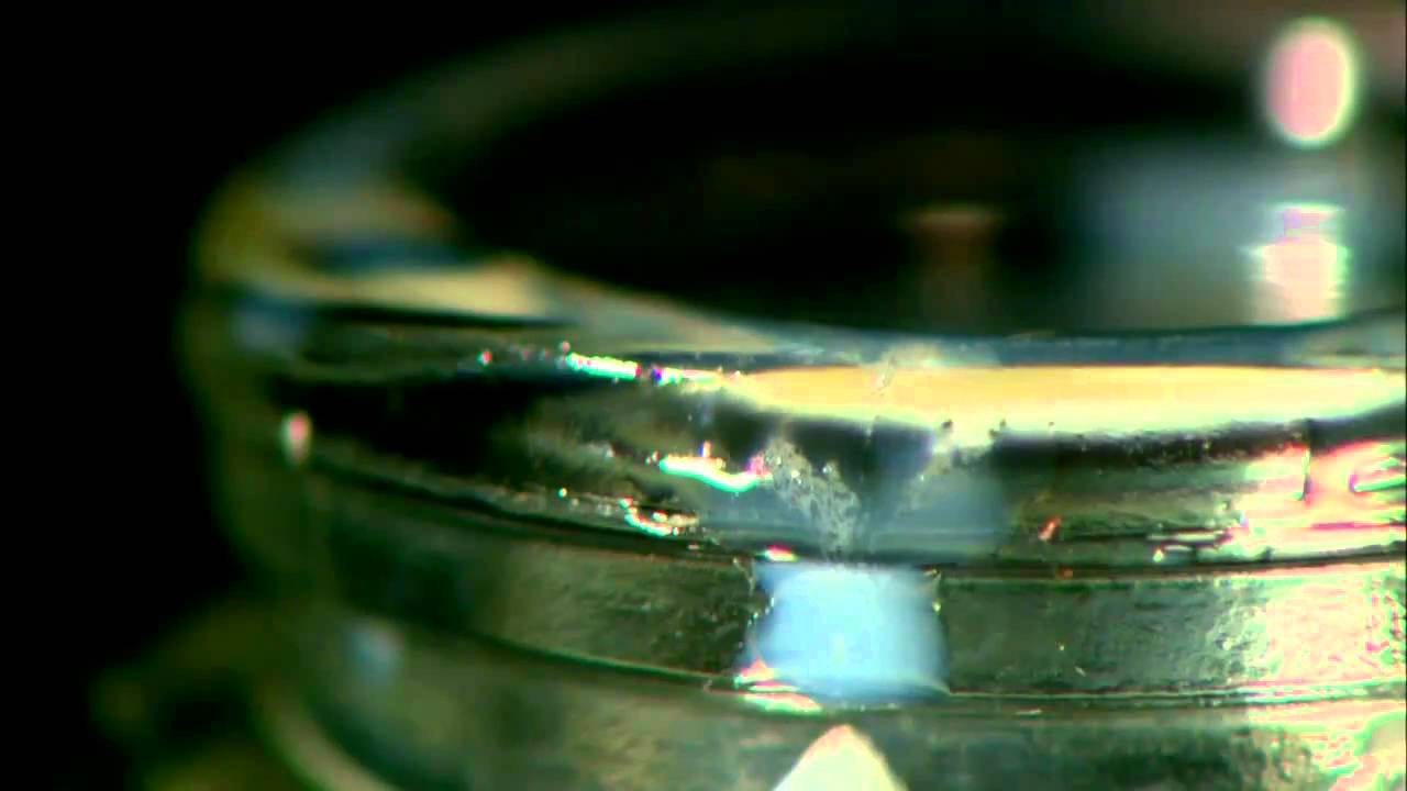 Creative Campaign Video- Milk