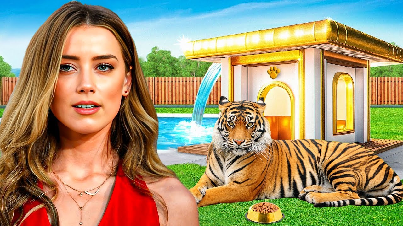 The Luxury Life of Amber Heard After Divorce Will Leave You SPEECHLESS!