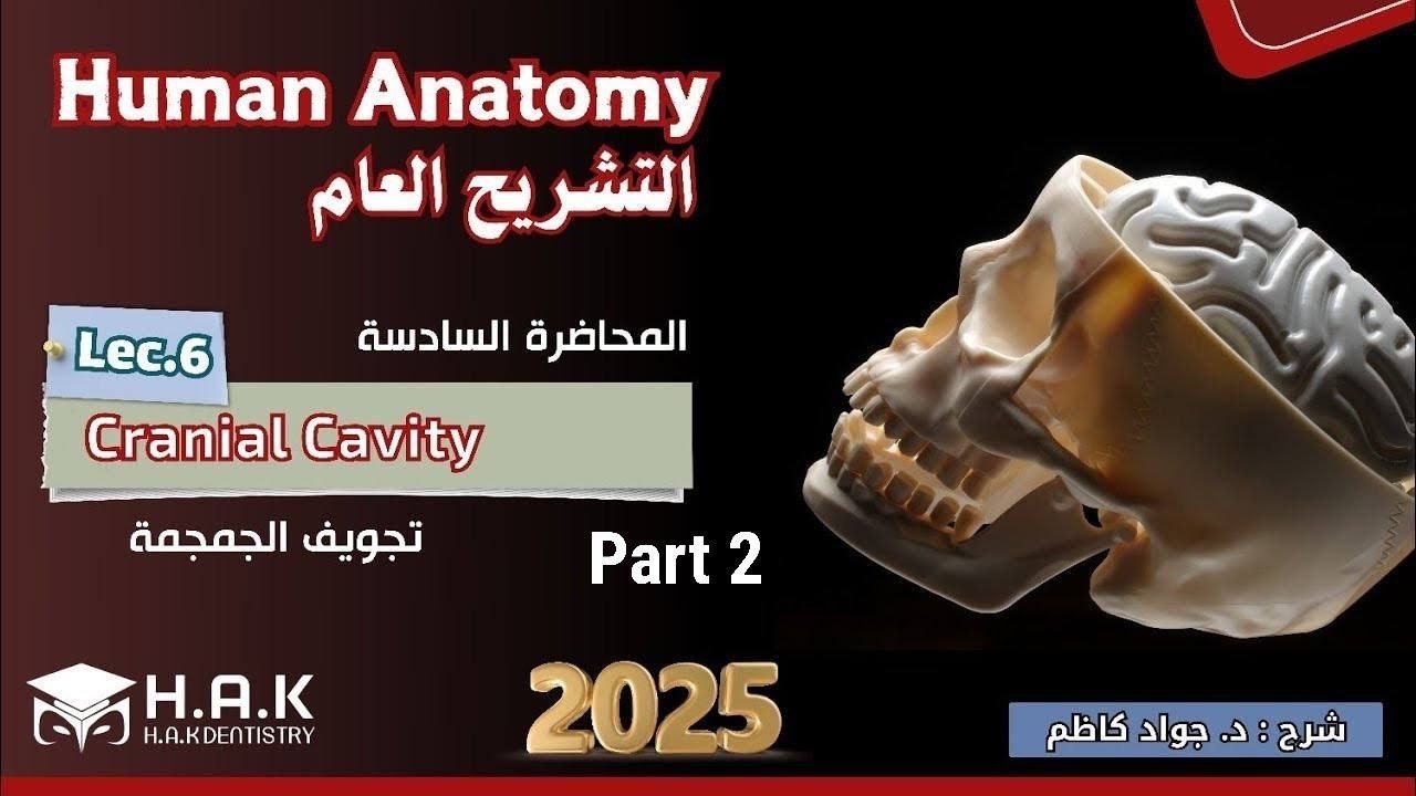 Human Anatomy || Lec.6-part2 || Cranial Cavity || طب أسنان مرحلة أولى