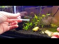 DIY Chopstick CO2 Diffuser