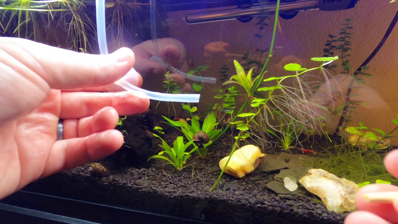 DIY Chopstick CO2 Diffuser