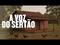 🔴DJ CAIPIRA - Só Modão Raiz e #Modão De Viola - Raridades no YouTube -