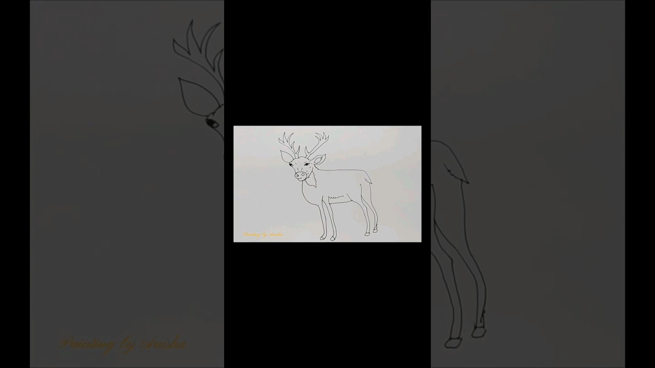 Cartoon Deer🦌