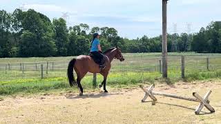 Jessi Stong - Rrp Application Video - Flat 51825