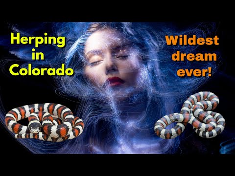 Herping in Colorado and the weirdest dream ever.