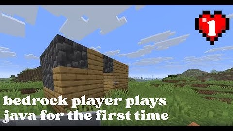Bedrock player plays java for the first time (ep 1)