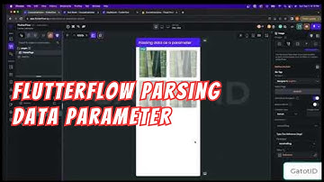 Flutterflow Parsing Data Parameter to Other Page