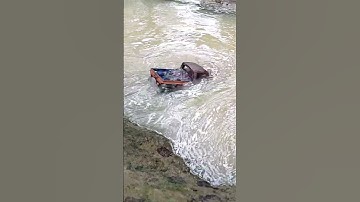 WPL C24 ❌ Lost Connection to Transmitter in the WATER