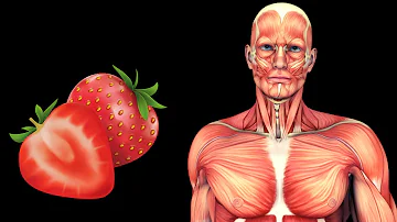 ¿Qué le hace la fresa a tu cerebro?